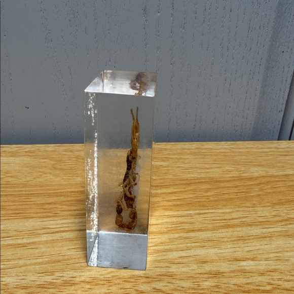 Scorpion Paperweight 🦂 - Picture 7 of 15